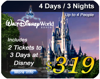 Disney World Paket Liburan