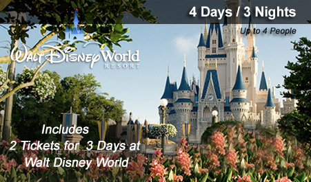 Disney Vacation Packages