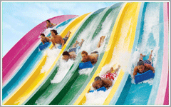 Taumata Racers at Aquatica Water Park