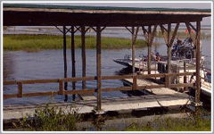 Boggy Creek Airboat Rides