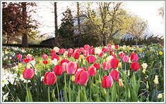Botanical Gardens at Silver Springs Ocala
