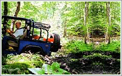 Jeep Safari at Silver Springs Ocala