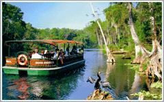 Lost River Voyage at Silver Springs Ocala
