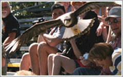 Wings on the Springs at Silver Springs Ocala